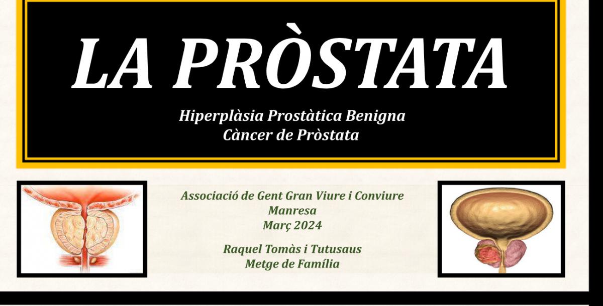 La pròstata