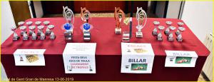 Trofeus billar-escacs.- 2019